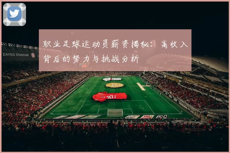 职业足球运动员薪资揭秘：高收入背后的努力与挑战分析