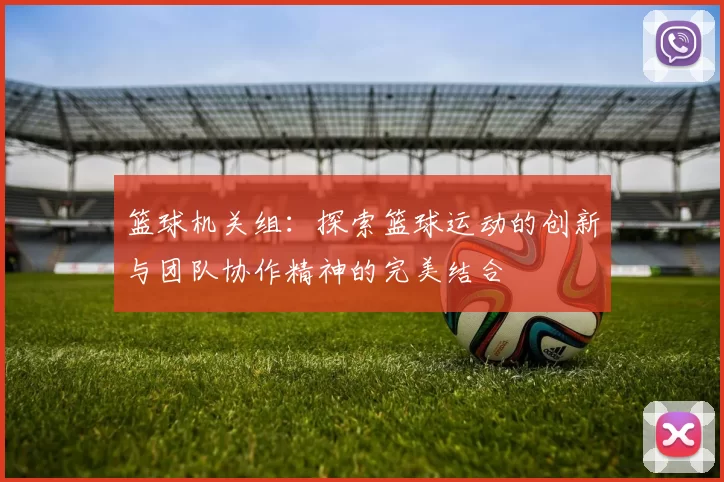 篮球机关组：探索篮球运动的创新与团队协作精神的完美结合