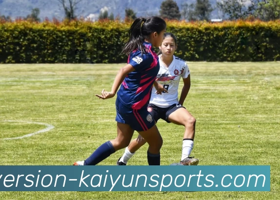 App Interface Preview